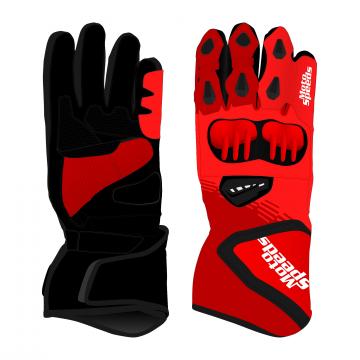 Ducati Panigale V4 R Suit