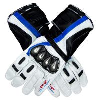 BMW S1000 RR Motorcycle Leather Gloves upper view